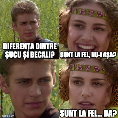 Diferența dintre Șucu și Becali sub formă de memă